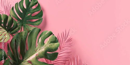 Vibrant green monstera leaves and delicate pink palm fronds arranged on a soft pastel pink background
