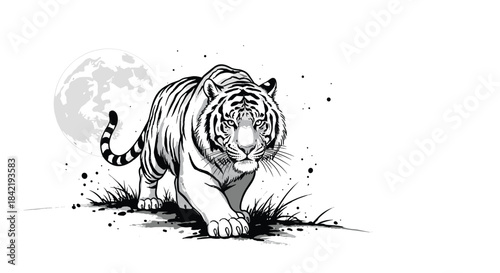 A powerful white tiger with black stripes walks forward under a full moon in a dramatic black and white ink wash style illustration.