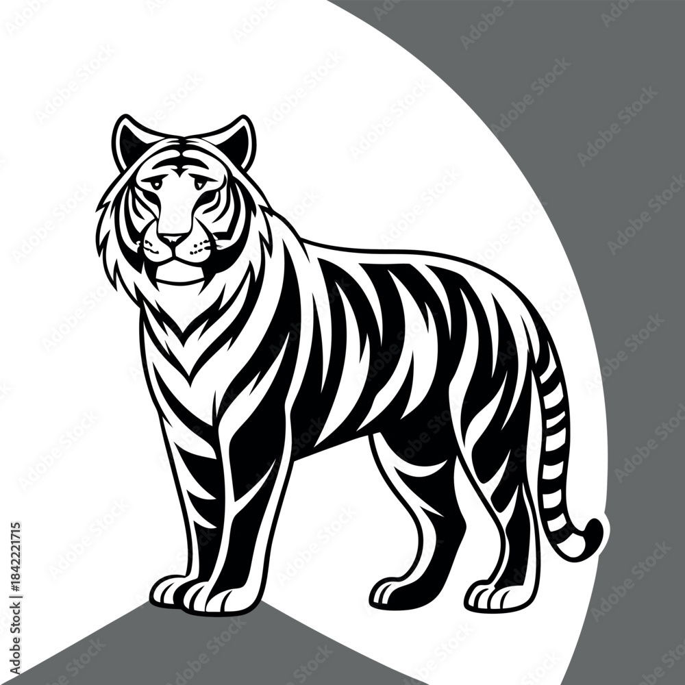 Fototapeta premium Animal-black-and-white-tiger. 