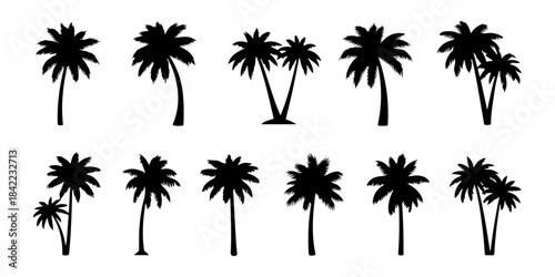 Diverse Collection of Stylized Black Palm Tree Silhouettes for Tropical Design, Summer Vacation Graphics, and Exotic Island-Themed Illustrations