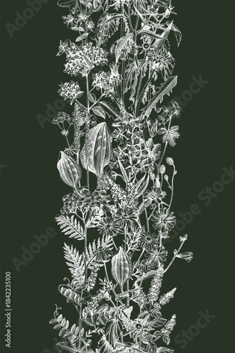 Healing herbs vertical seamless border