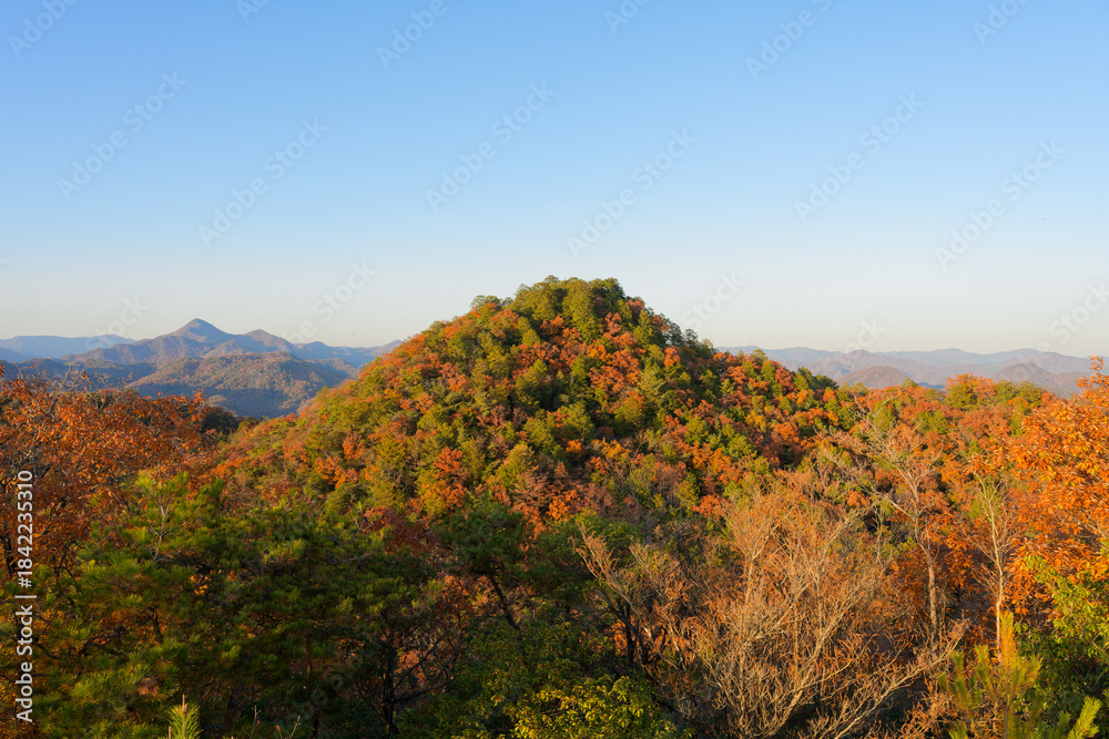 Obraz premium 紅葉した里山