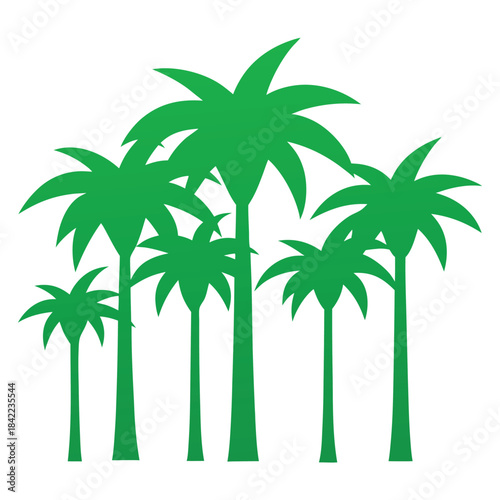 palm tree vector illustration