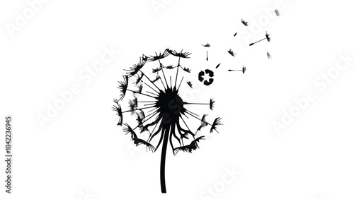 Dandelion flower dispersing seeds isolated on white background, symbolizing nature, growth, and freedom in a simple, elegant black silhouette