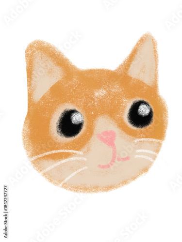 yellow cat on white background, Digital illustration	