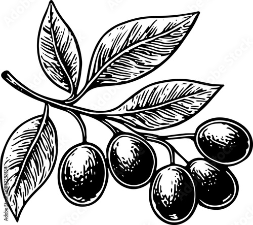 Vintage Engraved Erlenmeyer Flask with Liquid, Black White Vector