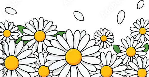 National Daisy Day celebration with white daisies and petals