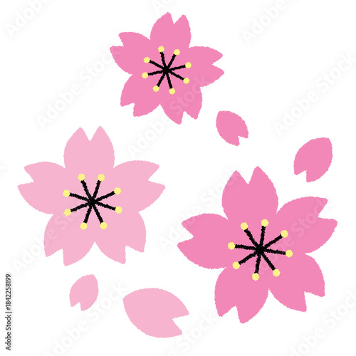 桜の花のイラスト