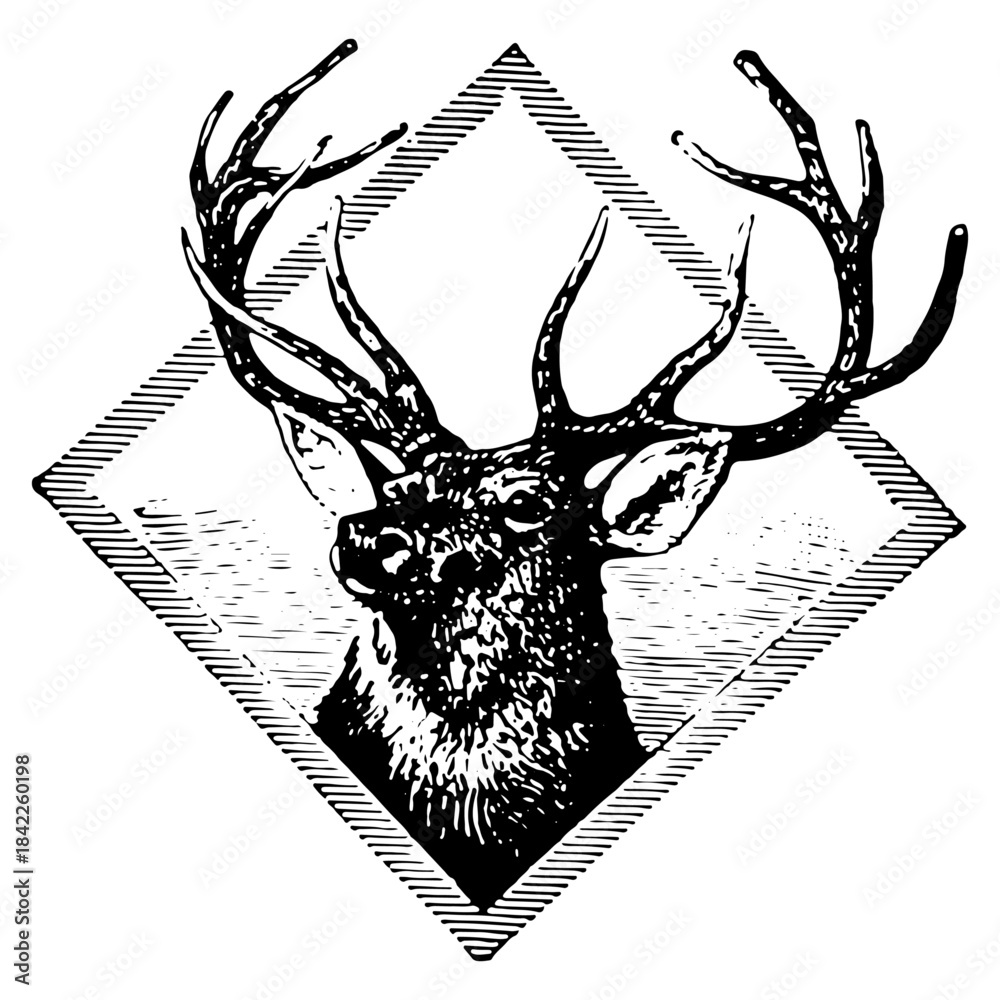 Fototapeta premium Vintage deer head emblem illustration in engraving style