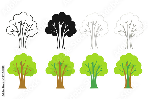 Abstract Beech Tree Styles. Beech tree trunks with subtle light filtering through leaves above, abstract minimalist vector