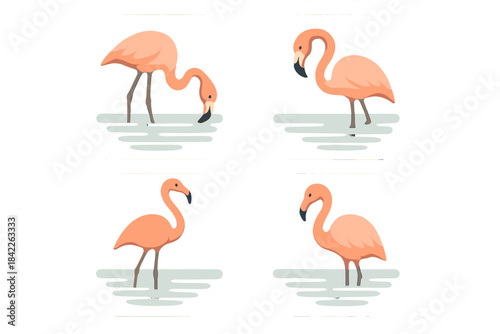 Flamingo Reflections. Icons for: a flamingo leaning over pale reflections, a curved neck bending toward glassy blue, a tall wader