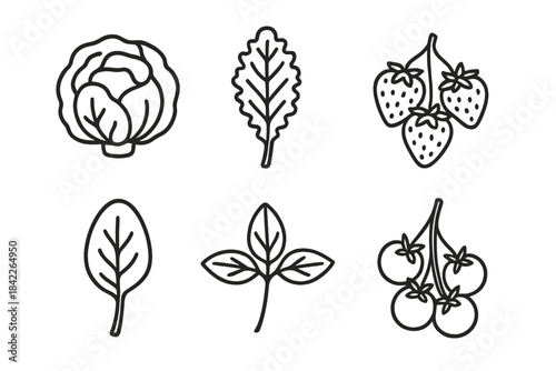 The image is a collection of different types of vegetables and fruits