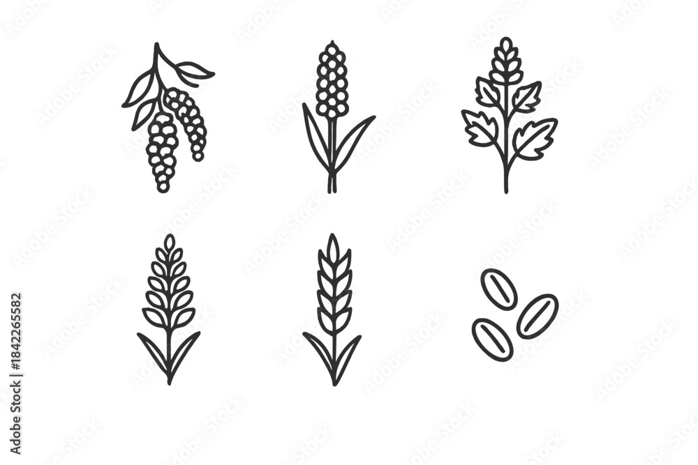 Obraz premium vector set of black and white flowers