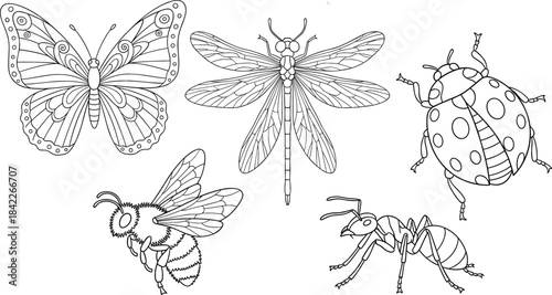 Collection of five black and white line art insects including a butterfly dragonfly ladybug bee and ant