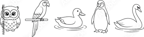 Cute cartoon outline drawings of five different birds
