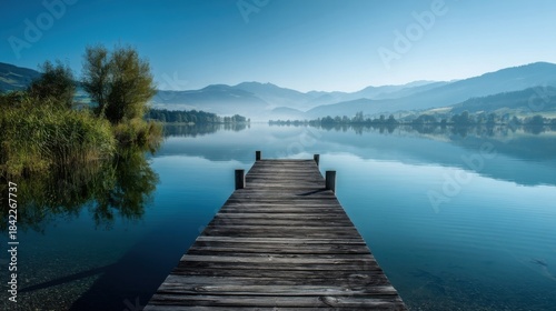 Wallpaper Mural A mysterious forest scene with tangled branches and eerie atmosphere, Torontodigital.ca