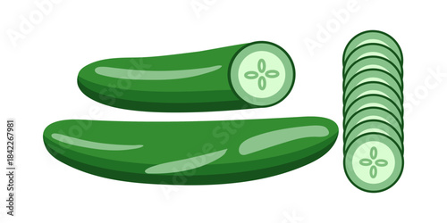 cucumber vector, cucumber slice, vegetables vector, grocery store, fresh fruit vector, piece vector