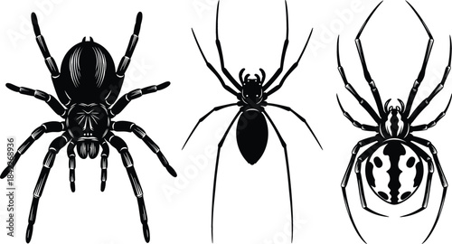 Three black silhouette spiders on white background