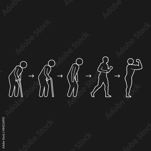 Aging Process and Rejuvenation Stages in Human Life.