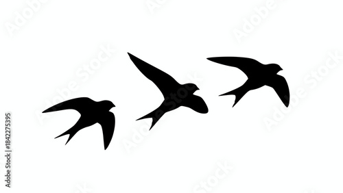 Minimalist black silhouette of three common swift birds (Apus apus) flying, isolated on a white background.