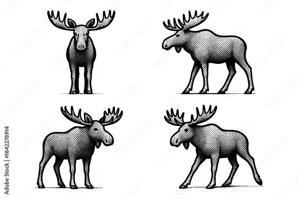 Obraz premium Retro halftone moose collection: vintage wildlife design in pop art style