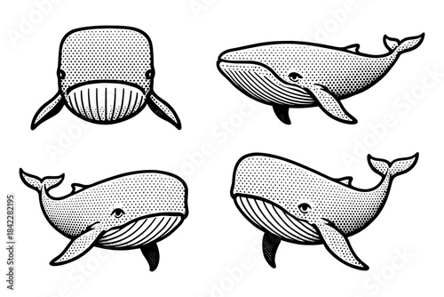 Vintage whale set with detailed halftone effect