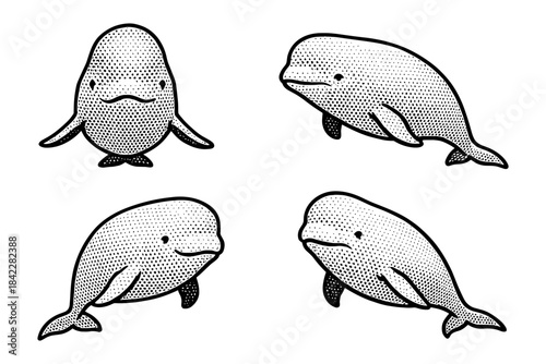 Hand-drawn baby beluga whales in retro comic style with halftone shading