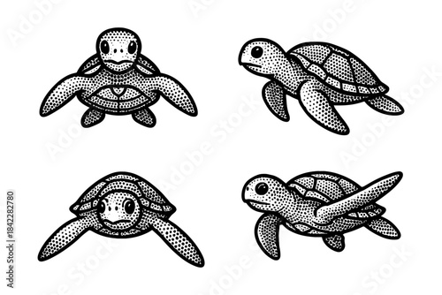 Hand drawn black and white sea turtles in vintage pop art style