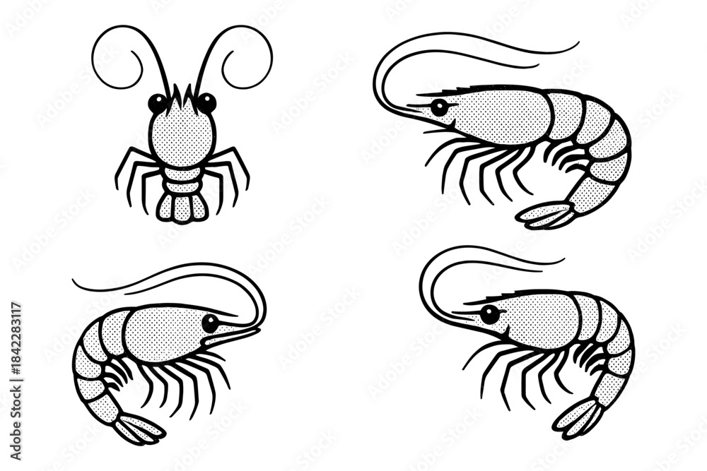 Fototapeta premium Retro style shrimp and prawn set with halftone texture in black and white