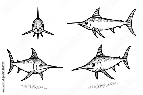 Hand drawn swordfish collection with vintage style illustrations