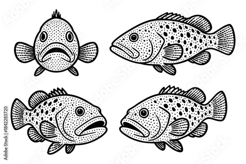 Black and white engraving style fish artwork with detailed patterns
