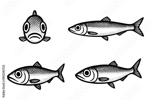 Hand drawn fish set with vintage ink style featuring various angles and expressions