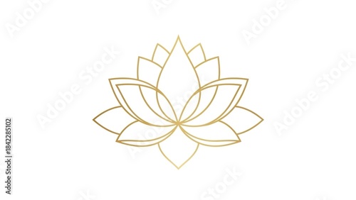 Golden lotus flower outlined on a white background elegant and symmetrical