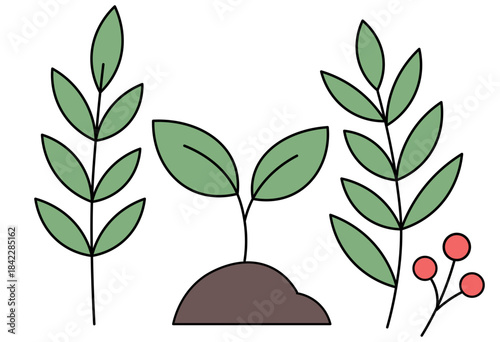 Growing Seedling and Botanical Elements Symbolizing Eco Nature and Sustainable Environment