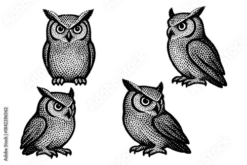 Vintage stipple owl collection: intricate black and white dotwork designs