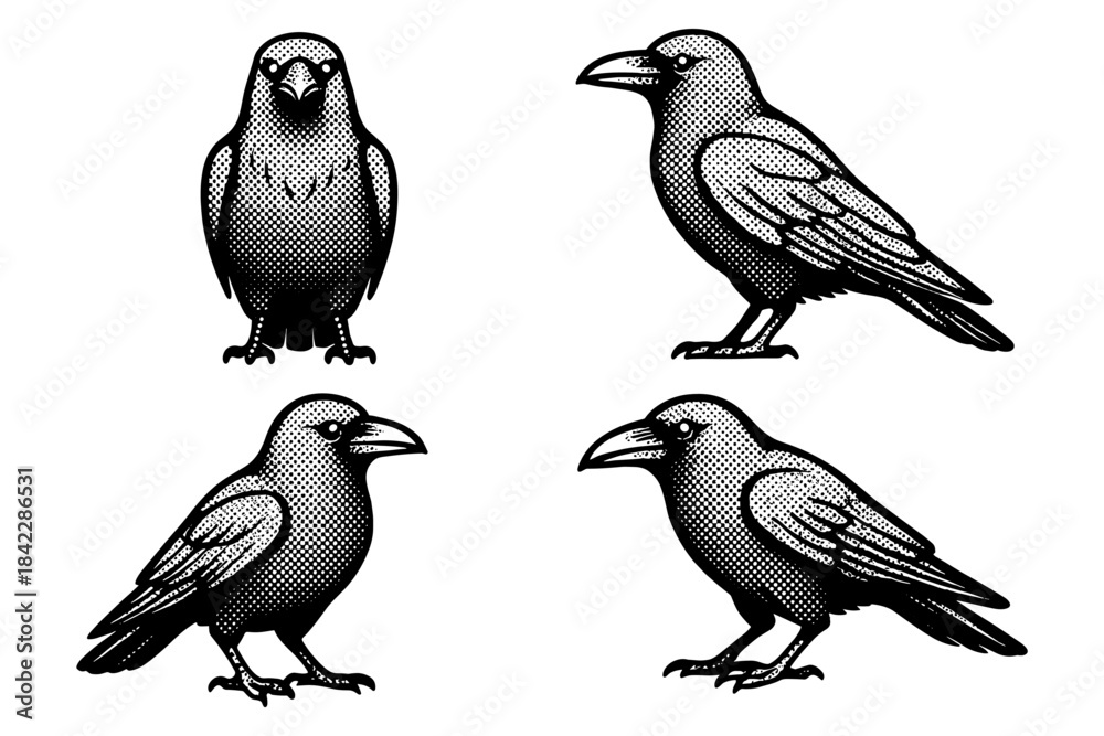 Fototapeta premium Vintage style halftone crows and ravens collection in black and white
