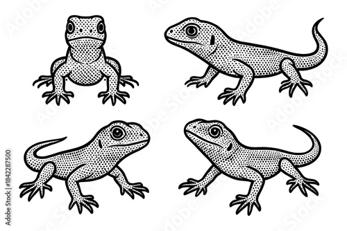 Vintage dot art of geckos: black and white reptile illustrations