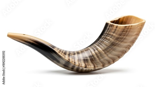 A shofar a musical instrument made from an animal horn stands on a white surface