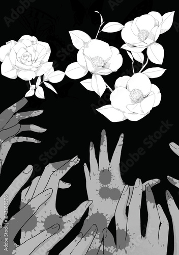 black and white background