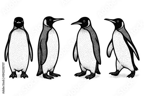 Detailed penguin silhouette in vintage dot style with four poses