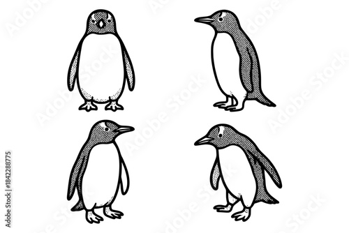 Vintage penguin sketches in retro black and white style