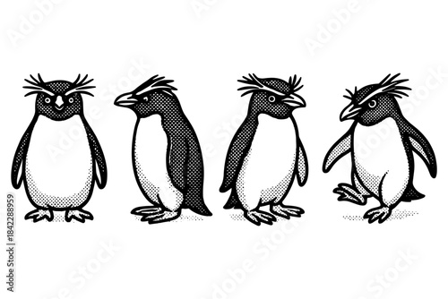 Retro style penguin cartoon set featuring four unique poses in halftone art