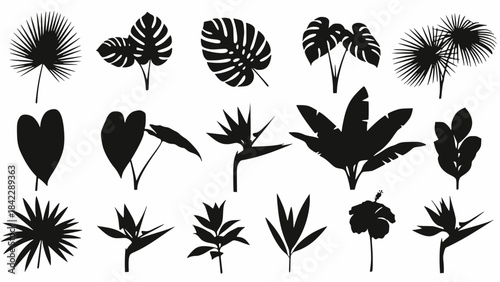 A collection of black vector silhouettes of trees, plants, flowers, and palm leaves for nature illustration and tattoo design