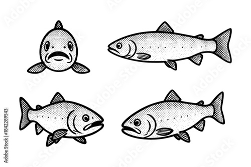 Vintage engraving style fish emblems on white background