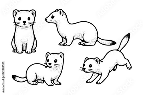 Adorable ferrets in vintage engraving style