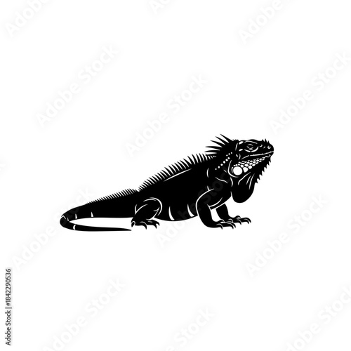 Black Silhouette of a Spiky Lizard