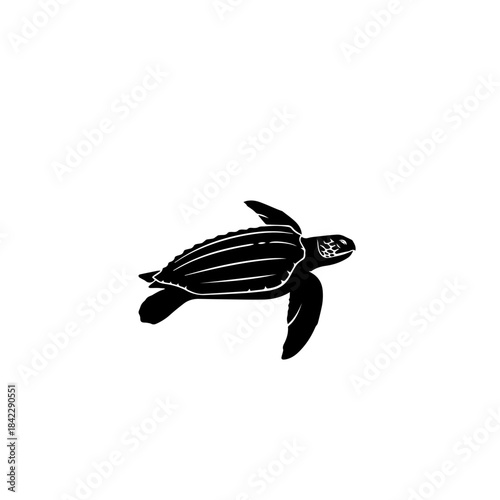 Leatherback Sea Turtle Silhouette Icon