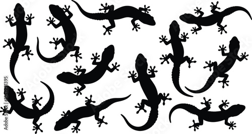Black gecko silhouette set, isolated lizard vector collection, reptile poses, animal shapes, wildlife clipart, editable design for stock illustration