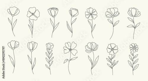 Minimalist Line Drawing Flowers Set
