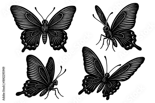 Intricate black silhouette butterflies with detailed wings